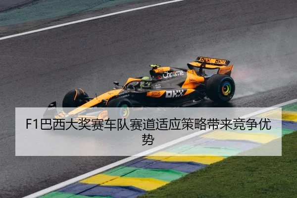 F1巴西大奖赛车队赛道适应策略带来竞争优势