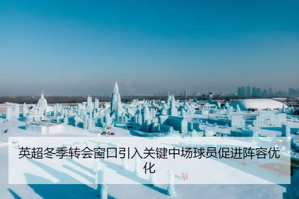 英超冬季转会窗口引入关键中场球员促进阵容优化 | PinnacleSports